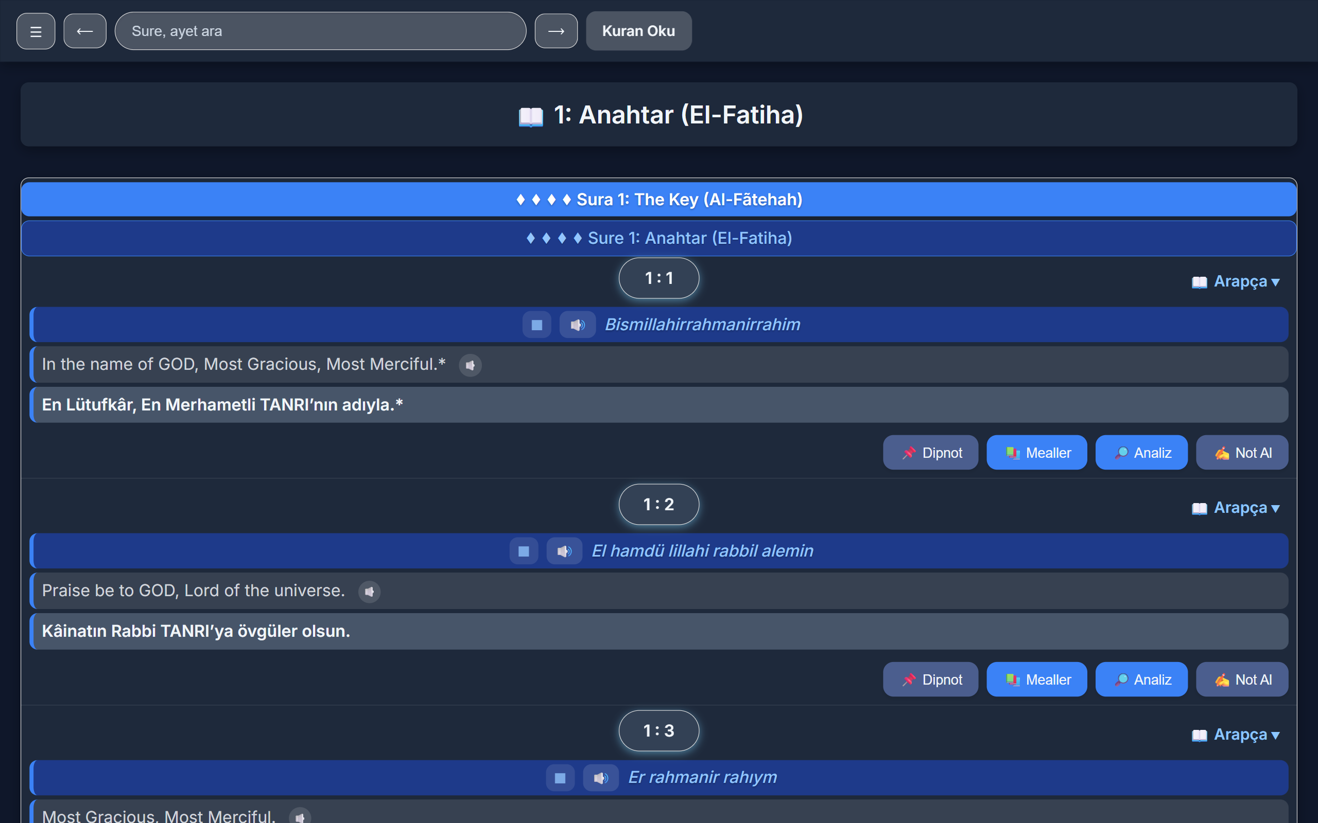 KuranTeyit.com Quran research platform screenshot